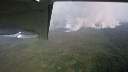 Площадь лесных пожаров выросла в РФ за сутки до 11,9 тысячи га-wpid-713563391