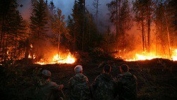 Ожидается, что площади лесных пожаров в Приморье будут расти-wpid-973001281